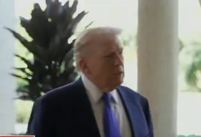 Trump Mentally Collapses After Democrats' Shocking Win In Texas